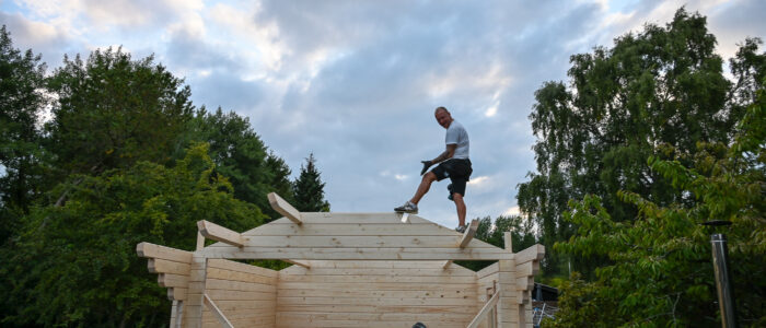 Swedish wood house-18
