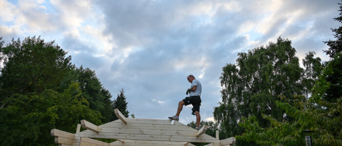 Swedish wood house-20